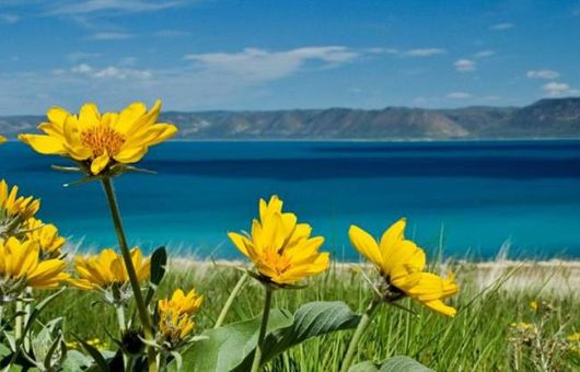 A Whole New World of Nature