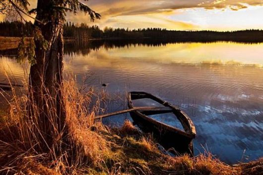 A Whole New World of Nature