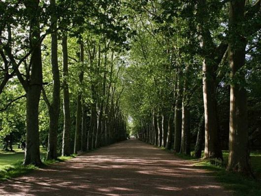 A Whole New World of Nature