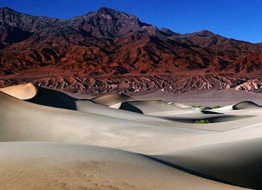 A Whole New World of Nature