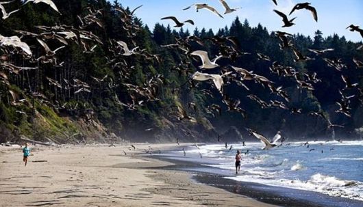 A Whole New World of Nature