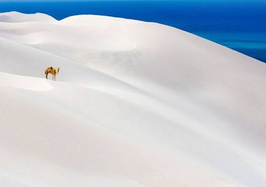 A Whole New World of Nature