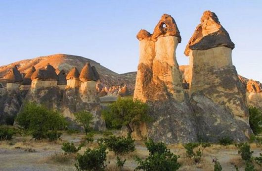 A Whole New World of Nature