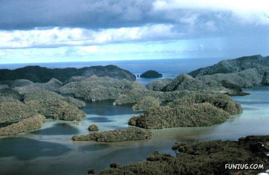 Beautiful Nature At Palau