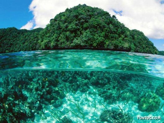 Beautiful Nature At Palau