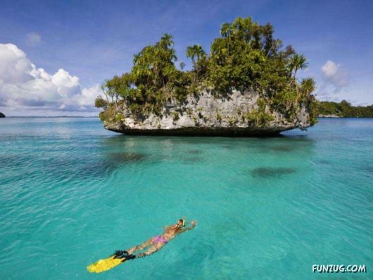 Beautiful Nature At Palau