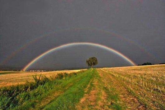 Amazing Rainbows in the Sky