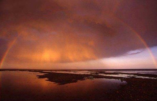 Amazing Rainbows in the Sky