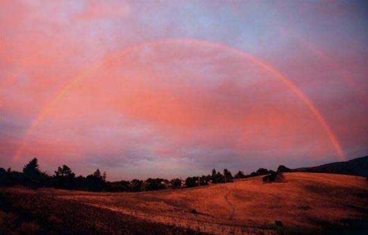 Amazing Rainbows in the Sky