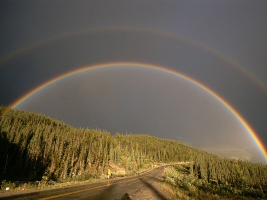 Amazing Rainbows in the Sky