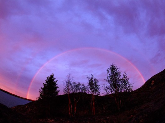 Amazing Rainbows in the Sky