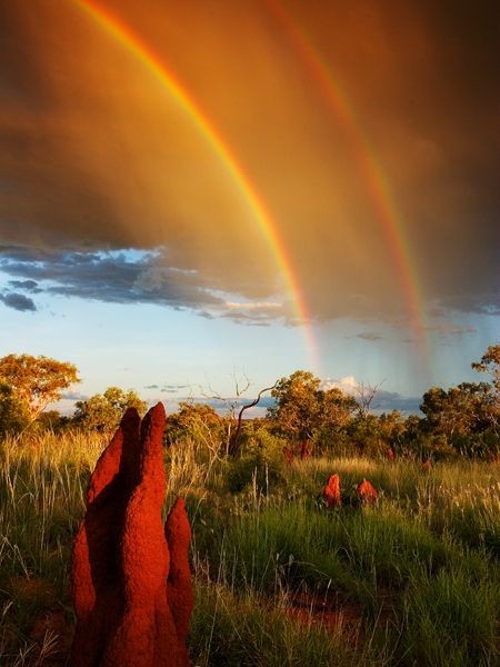 Amazing Rainbows in the Sky