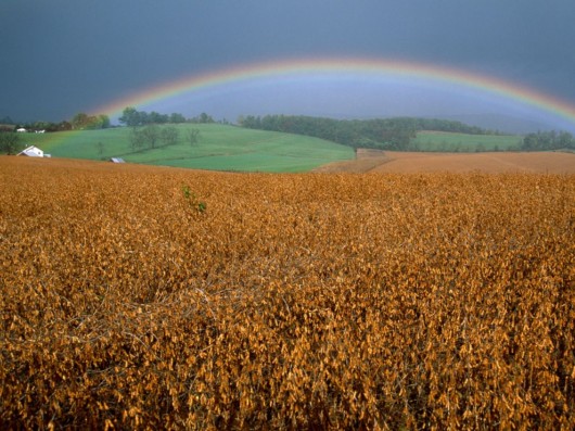 Amazing Rainbows in the Sky