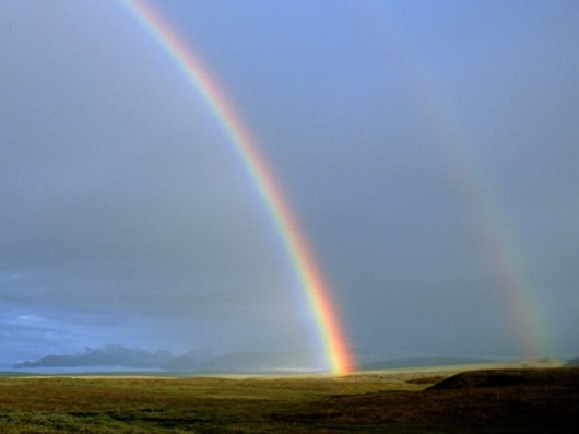 Amazing Rainbows in the Sky