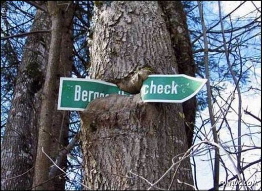 Amazing Strength of Nature