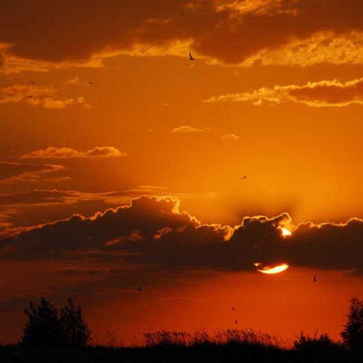 Most Beautiful Sunset Evenings