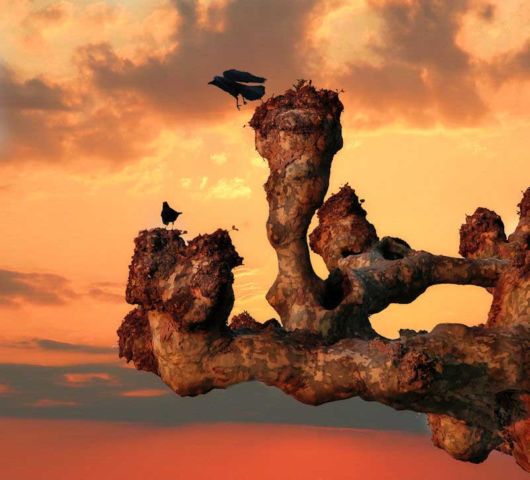 Most Beautiful Sunset Evenings