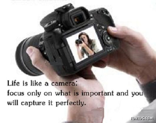 The Different Meanings Of Life