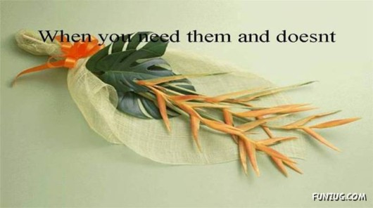 Friends Are Like Flowers