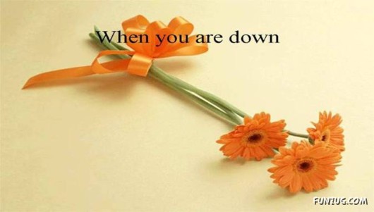 Friends Are Like Flowers