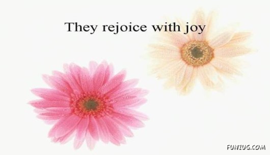 Friends Are Like Flowers