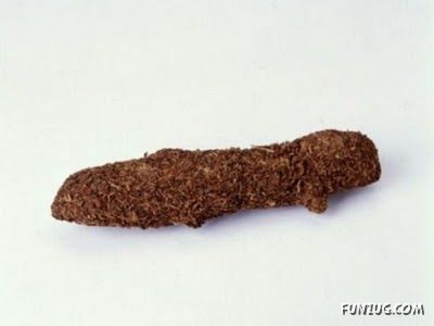 Top Ten Best Spy Gadgets