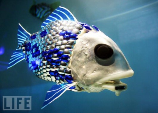 Cool Robotic Animals