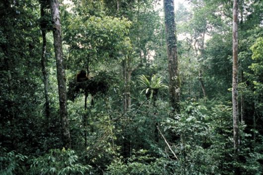 25 Most Beautiful Places in Asia