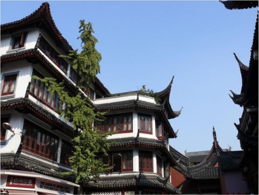 The Incredible China