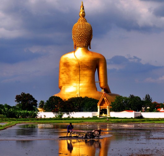 Largest Buddha Statue in the World