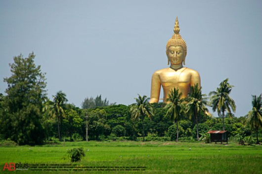 Largest Buddha Statue in the World