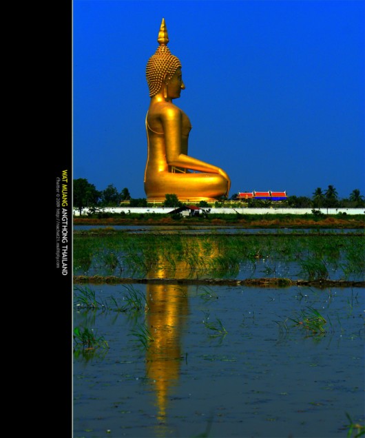 Largest Buddha Statue in the World