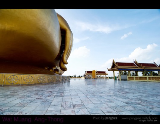 Largest Buddha Statue in the World