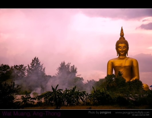 Largest Buddha Statue in the World