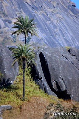 Mount Abu ? Highest Peak of Rajasthan (India)