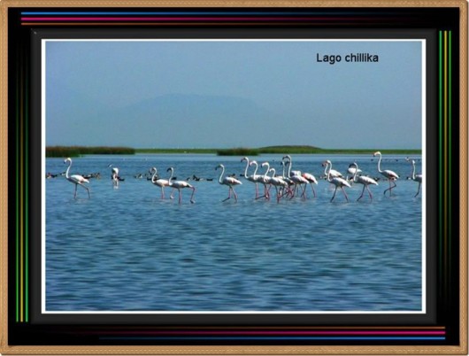 Mystic India - Some Cool Photos