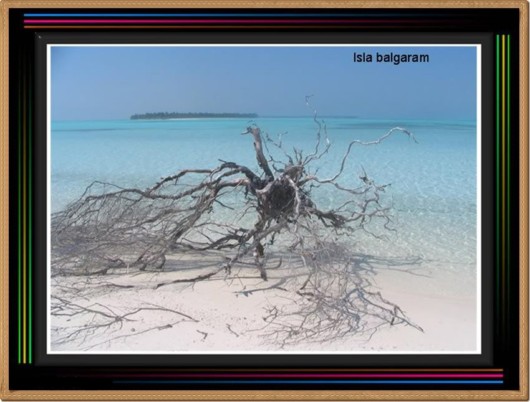 Mystic India - Some Cool Photos