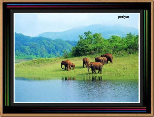 Mystic India - Some Cool Photos