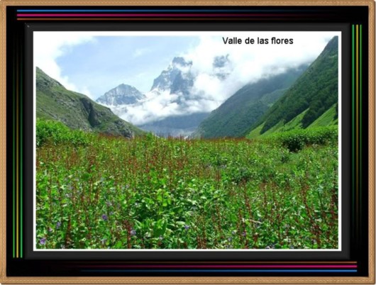 Mystic India - Some Cool Photos