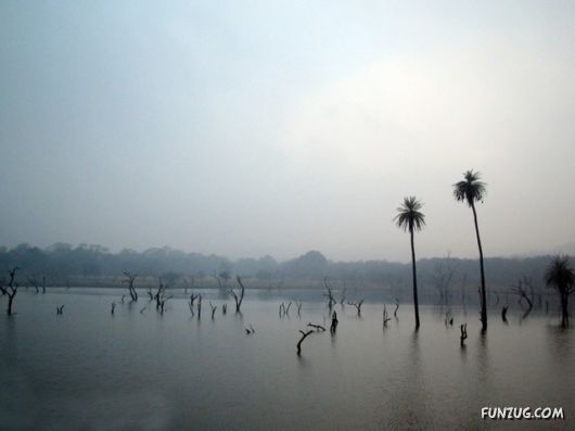 Ranthambore National Park, Rajasthan (India)?