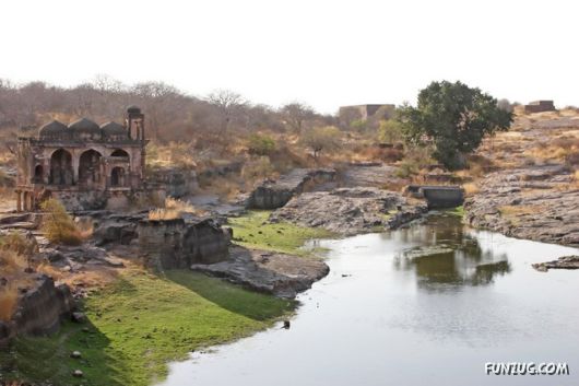 Ranthambore National Park, Rajasthan (India)?