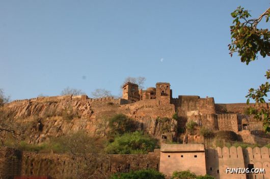 Ranthambore National Park, Rajasthan (India)?