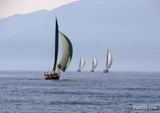 Beautiful Ships Sailing in The Seas