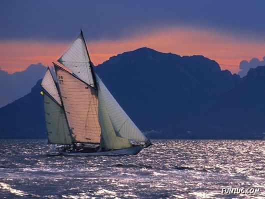 Beautiful Ships Sailing in The Seas