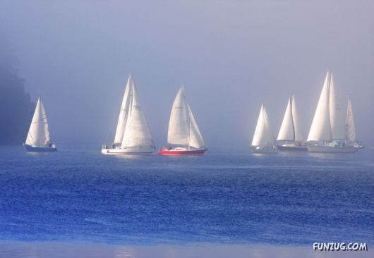 Beautiful Ships Sailing in The Seas