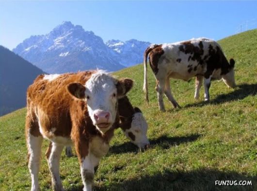 Natural Beauty of Tyrol, Europe