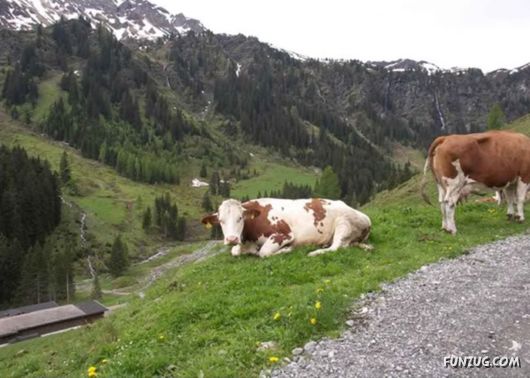 Natural Beauty of Tyrol, Europe