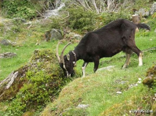 Natural Beauty of Tyrol, Europe