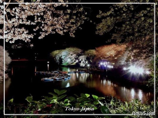 Marvelous Illuminating Cities at Night