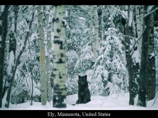 Photos of Some Places Around The World